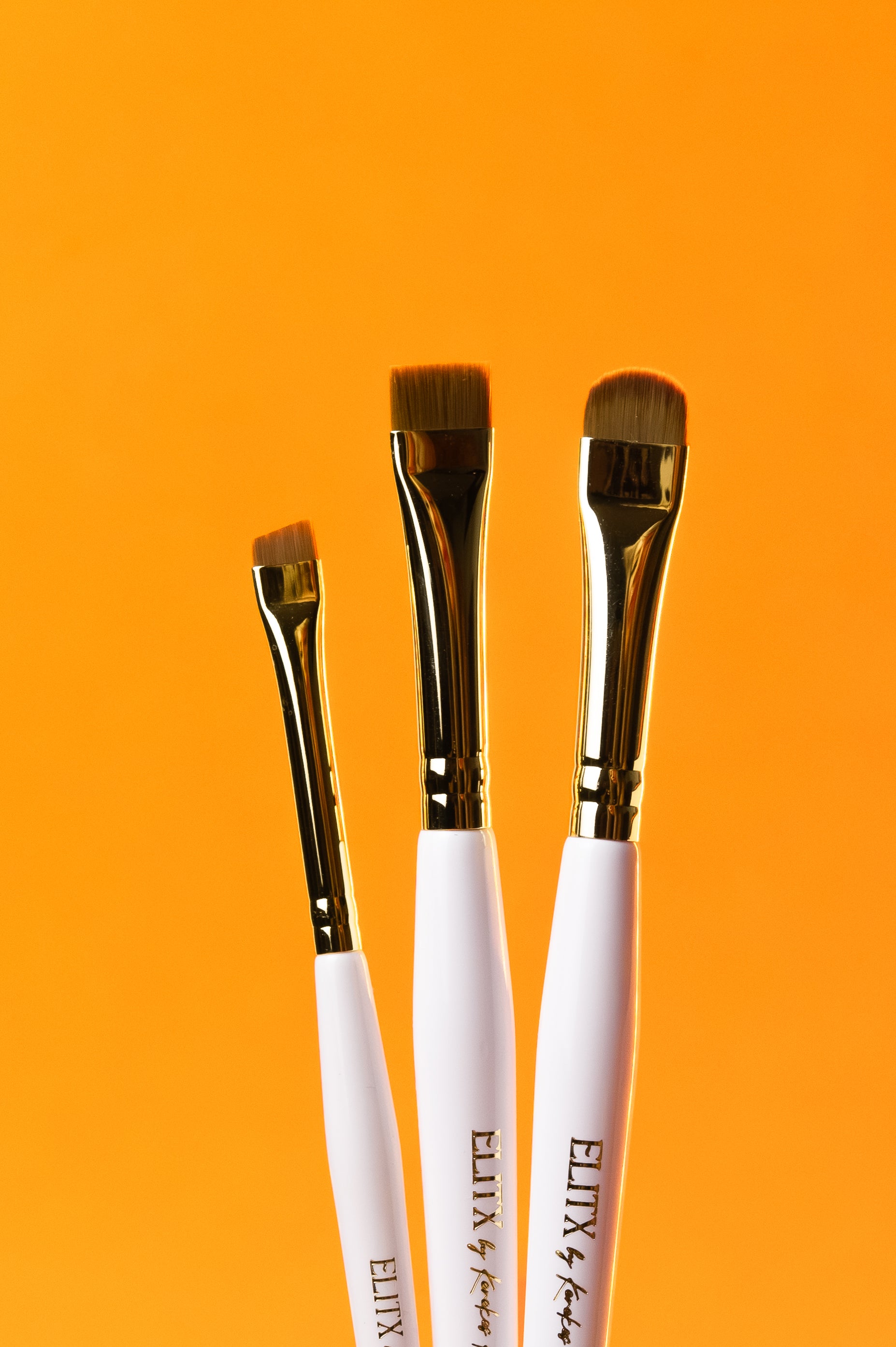 Set Pensule Profesionale ElitX – Pentru Sprâncene, Buze și Pleoape
